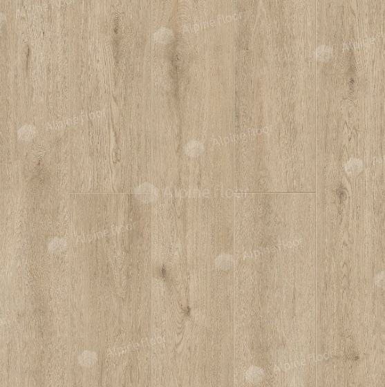 SPC NORLAND SIGRID Abbi